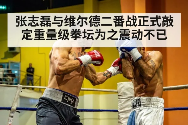 heavyweight boxer